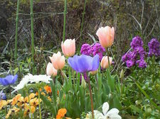 201004031210000.jpg