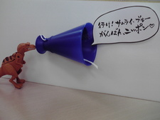 P1000231.jpg