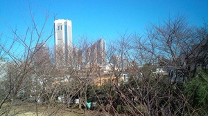 20110117115116.jpg